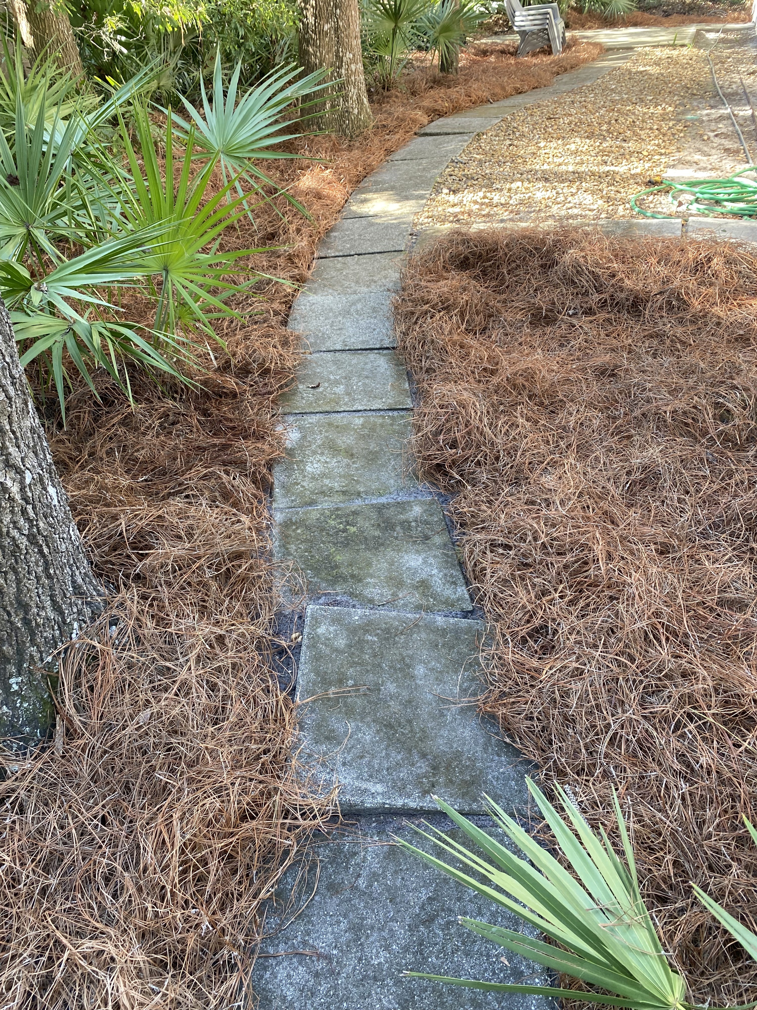 Power washing a driveway in Hilton Head—strong pressure removing dirt and stains