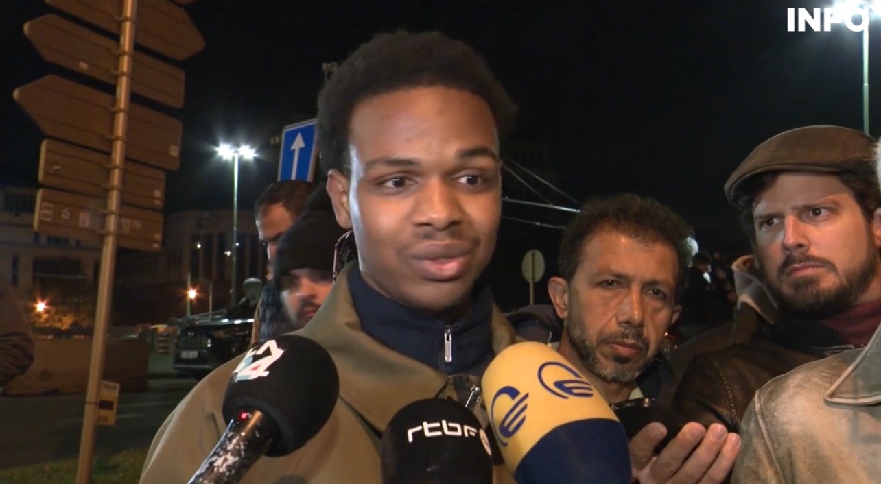 Close-up of lush, dark green leaves, some glossy and wet, against a muted background.