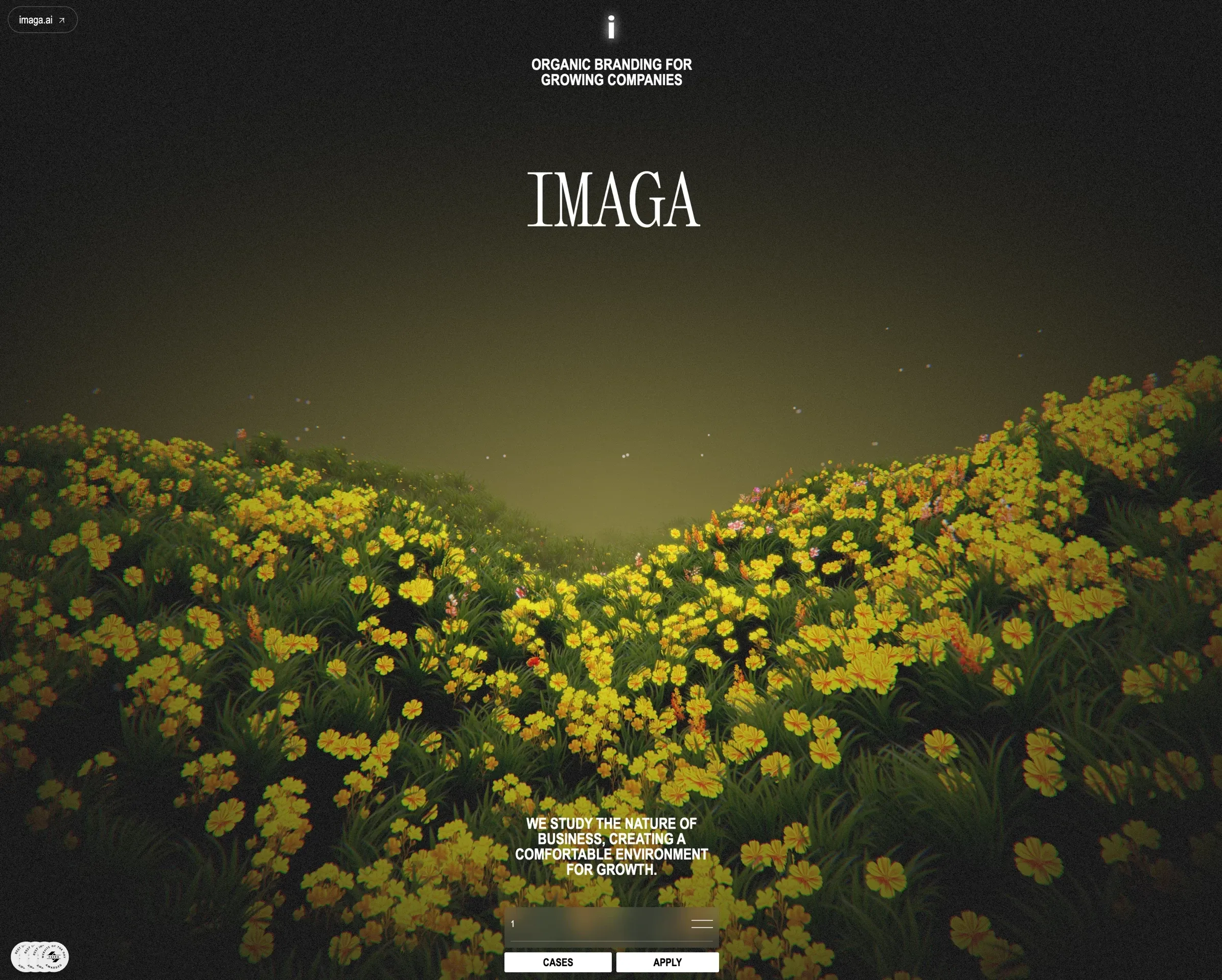 Imaga