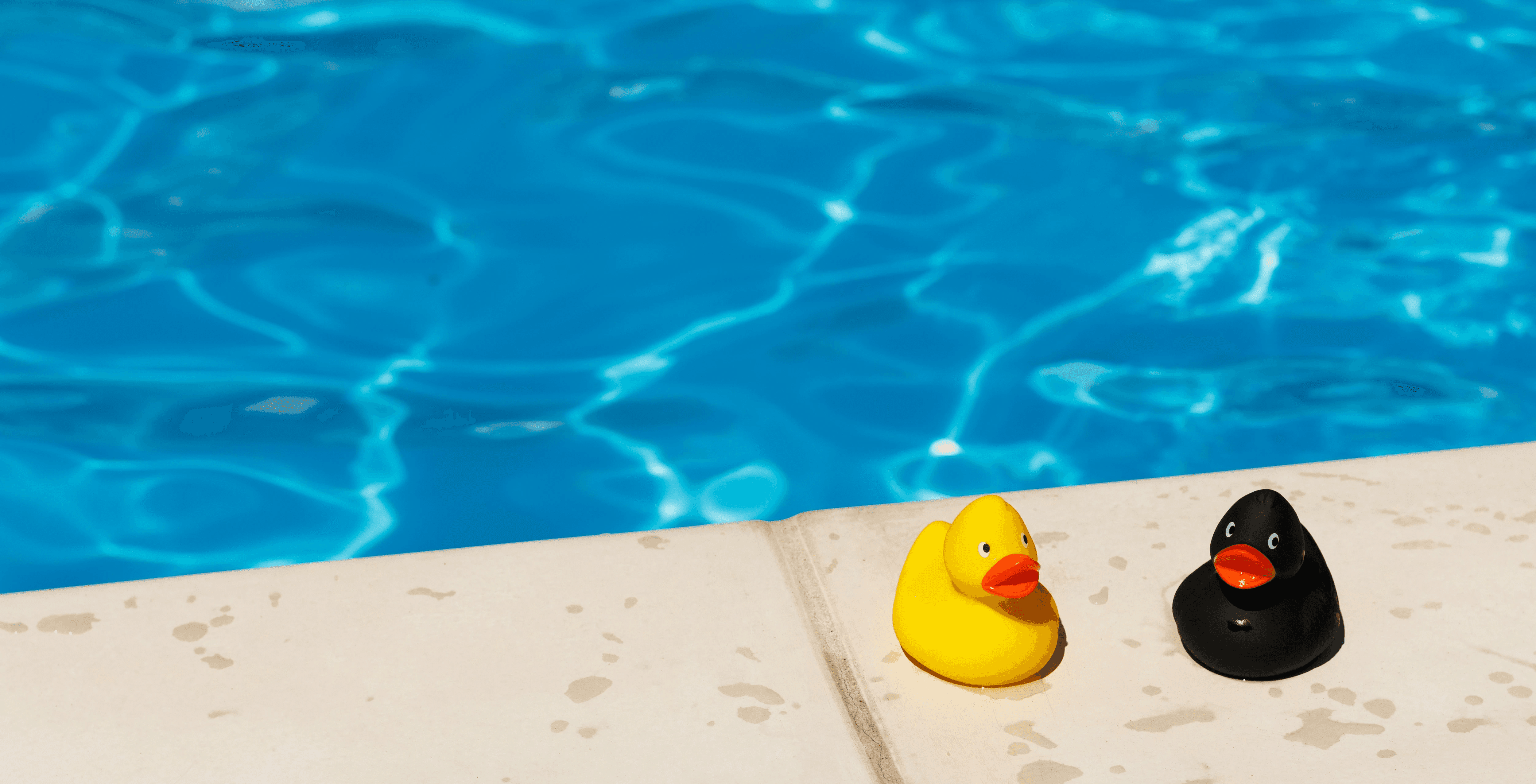 yellow and black duck on white concrete surface