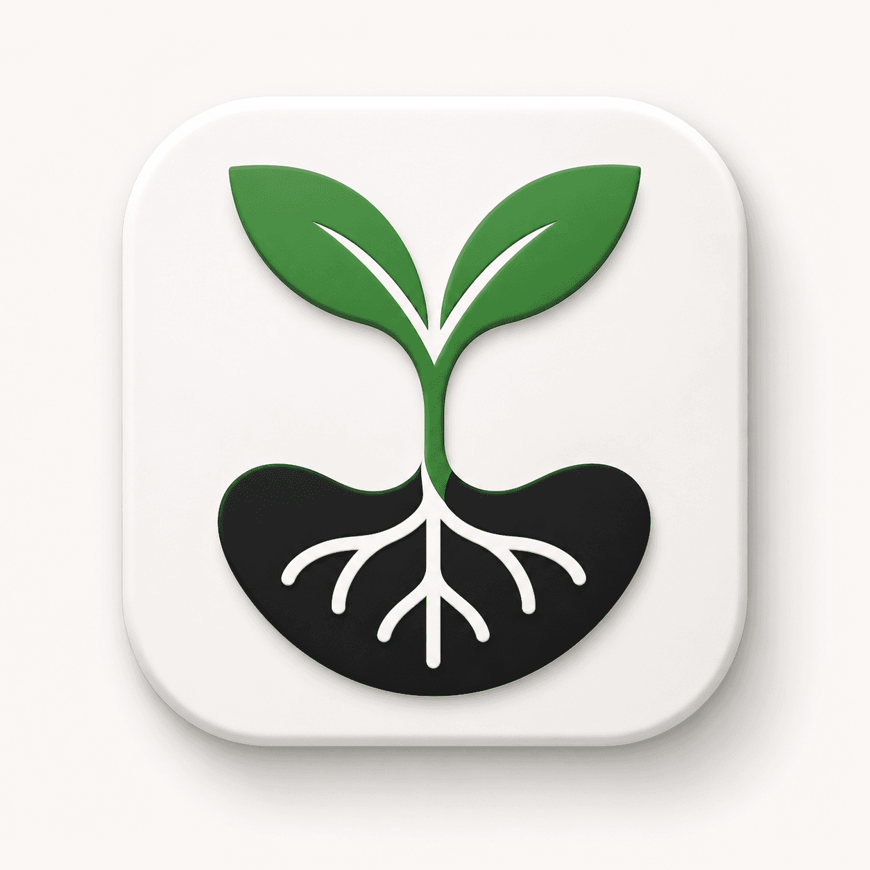 Seed and soil icon representing Black Soil Organic Foods.
