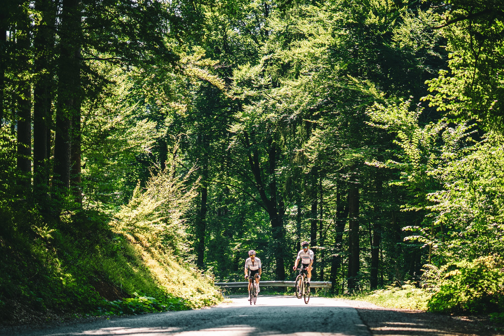 Rekreativno gorsko ali cestno kolesarjenje, Elves Bikes Slovenija