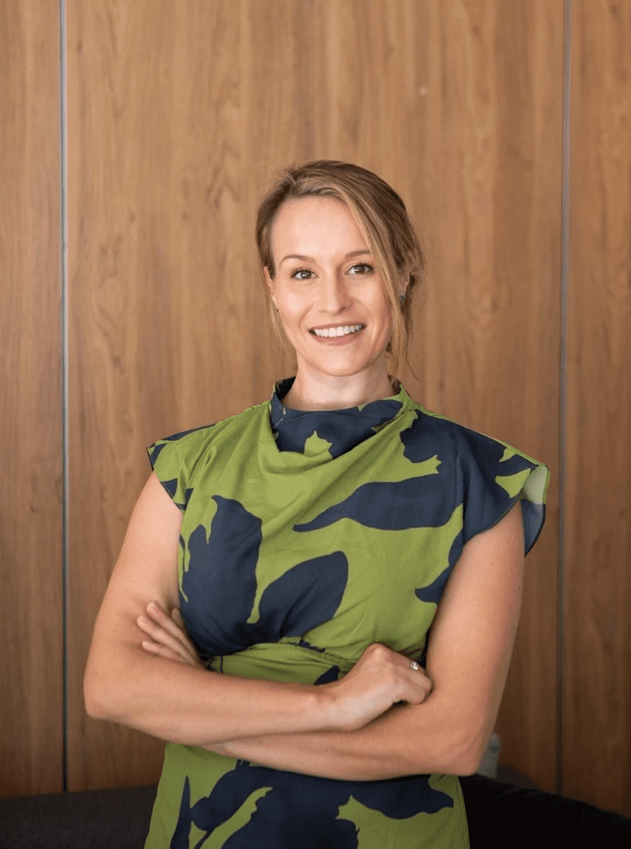 An image of Freelio's project ui