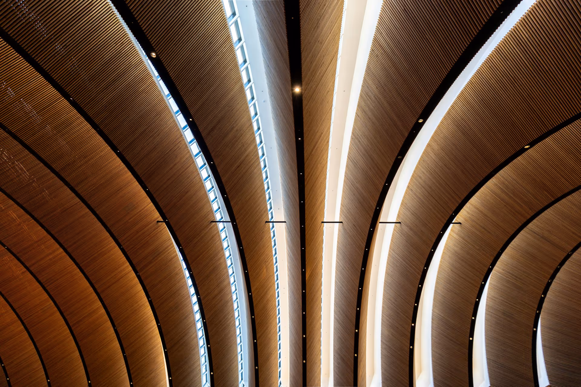 Symmetrical architectural detail of a curved wooden slatted ceiling with recessed light strips.