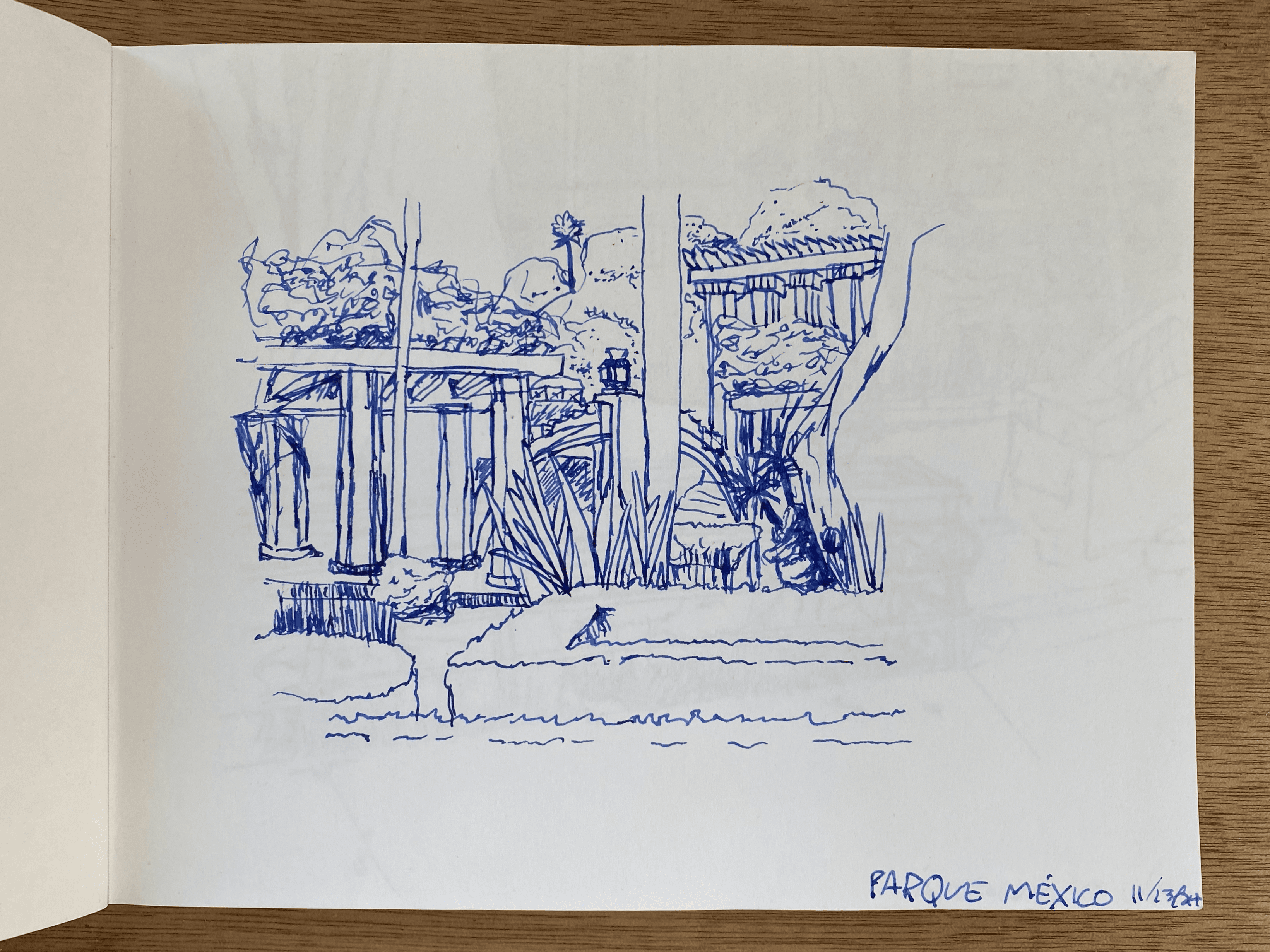 Theo Berry: Urban Sketch in Mexico City