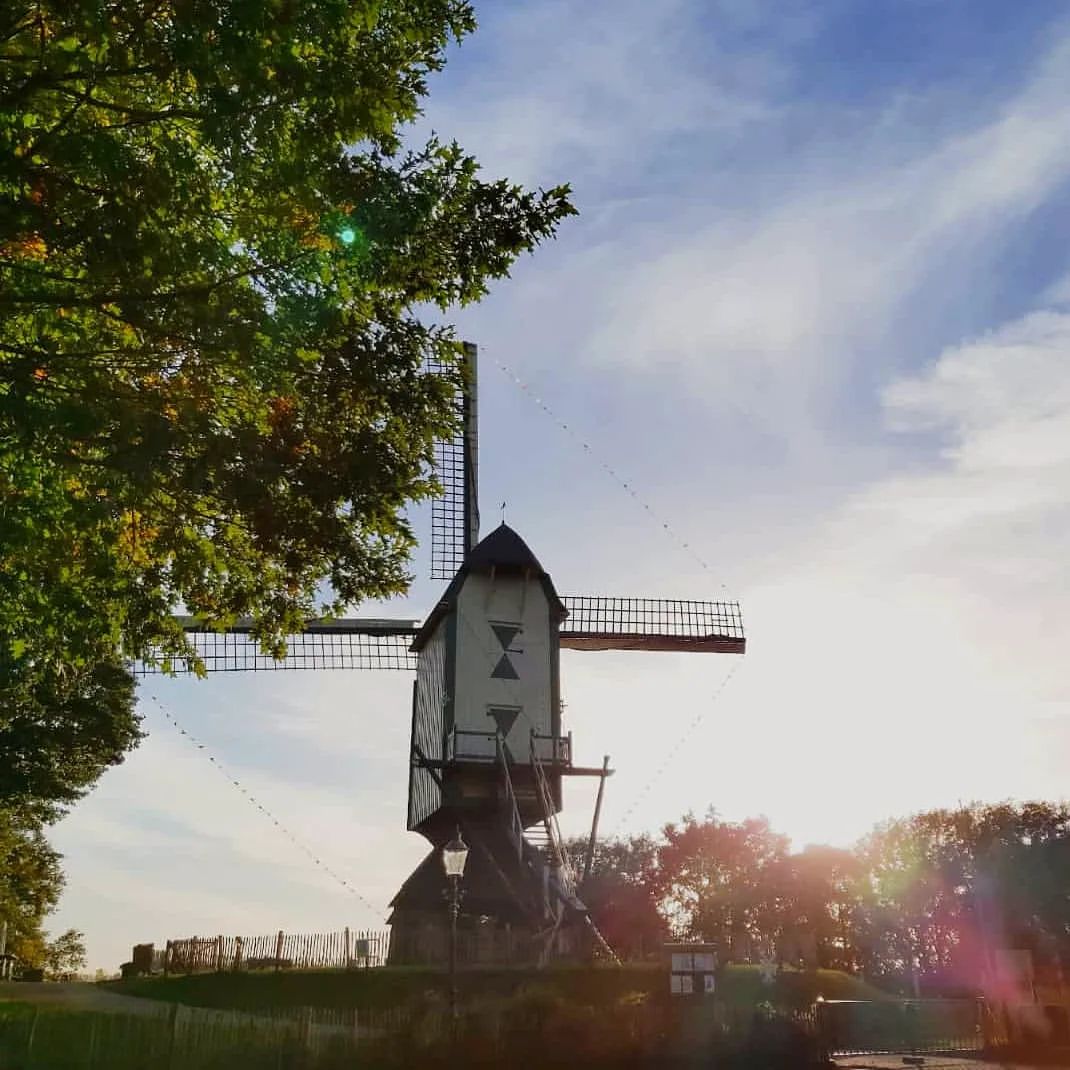 A windmill in the Netherlands with the sun shining behind it.