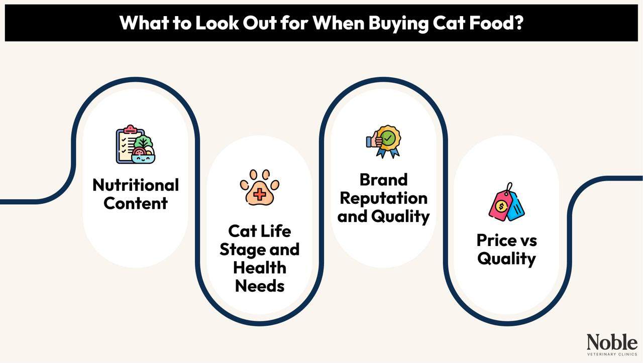 What to Look Out for When Buying Cat Food