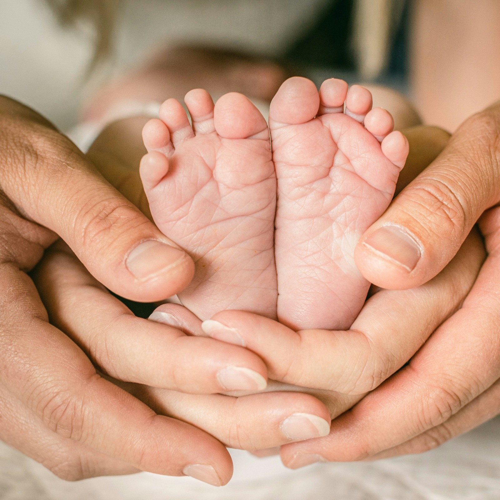 Mihaela Vernica Constelatii Familiale Transformare personala