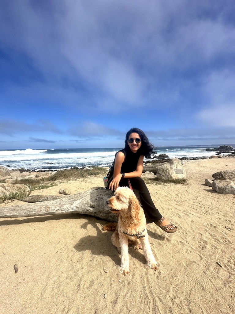 Ananya profile picture