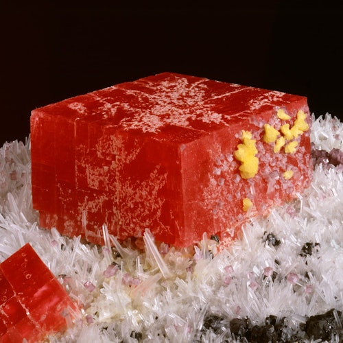 Rhodochrosite mineral in Gems & Minerals exhibit