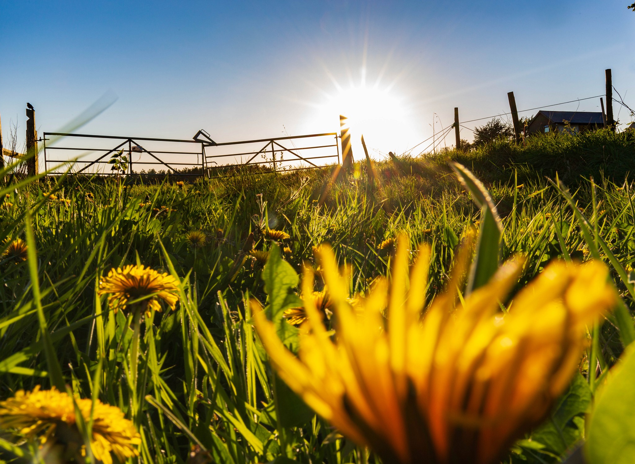 Image of an unmade bed