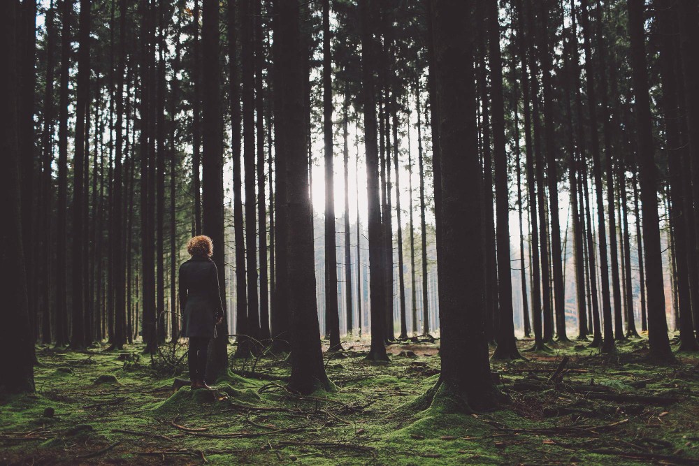 gray and clear digital wallpaper