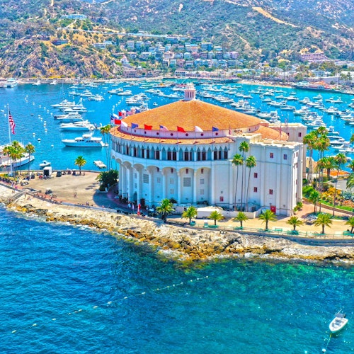 Catalina Island with Zipline Eco Tour