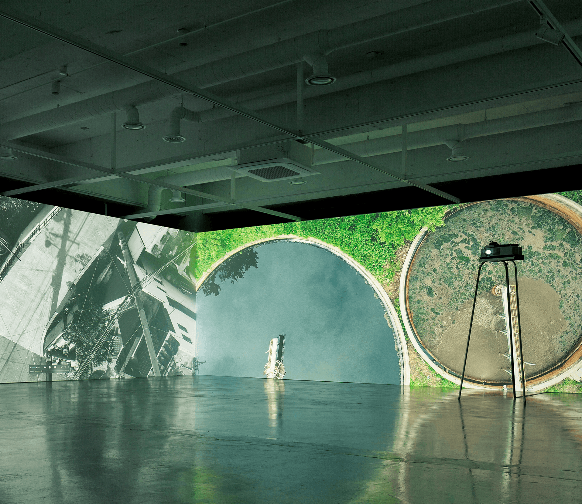 Portrait of Emily Carter