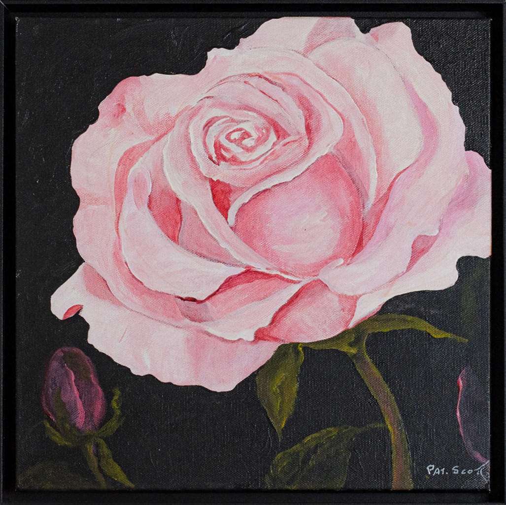 A pink rose fills the canvas, showing off its layered petal structure.