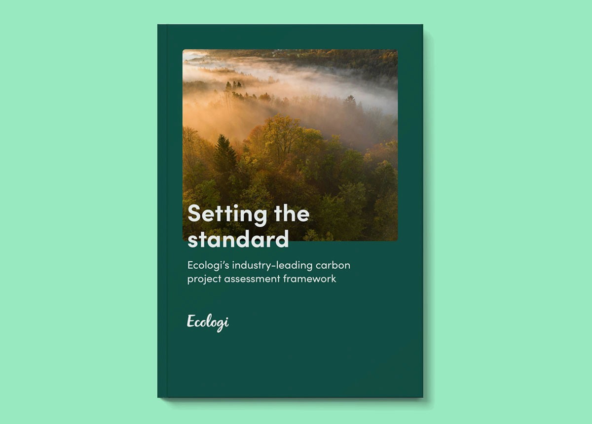 Setting the Standard: Our Carbon Project Assessment Framework