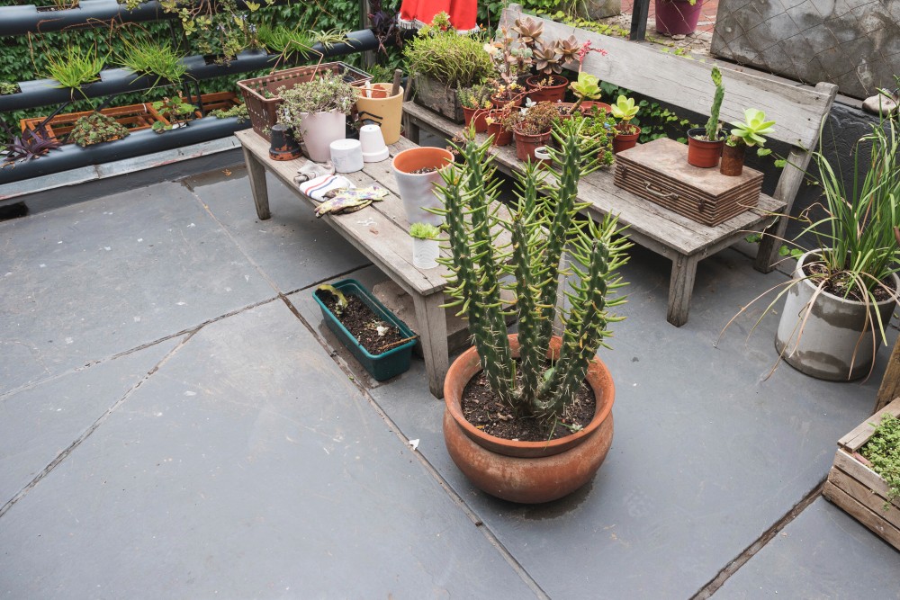 Création terrasse Saint-Suliac