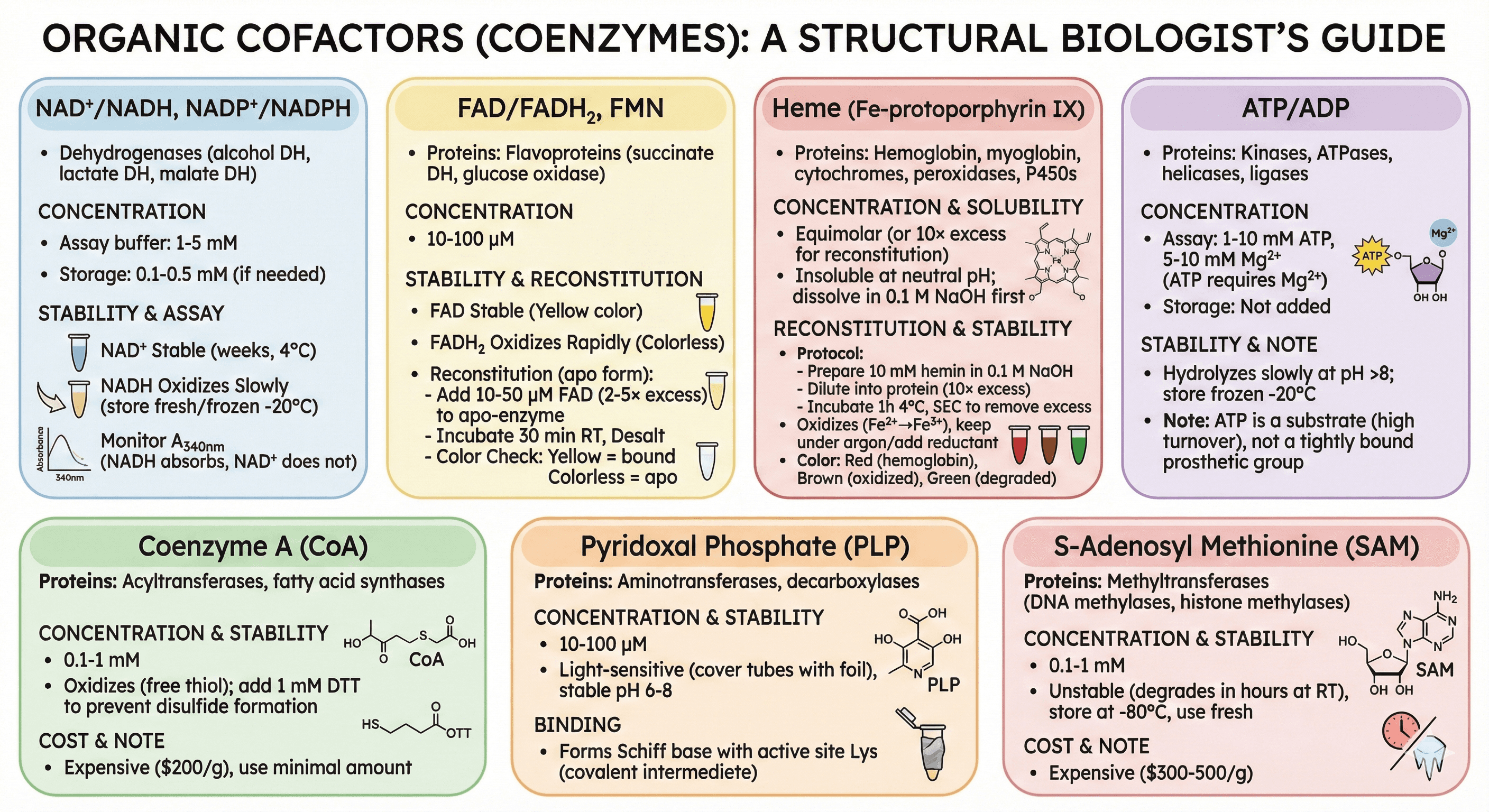 Diagram Showcasing Organic Cofactors