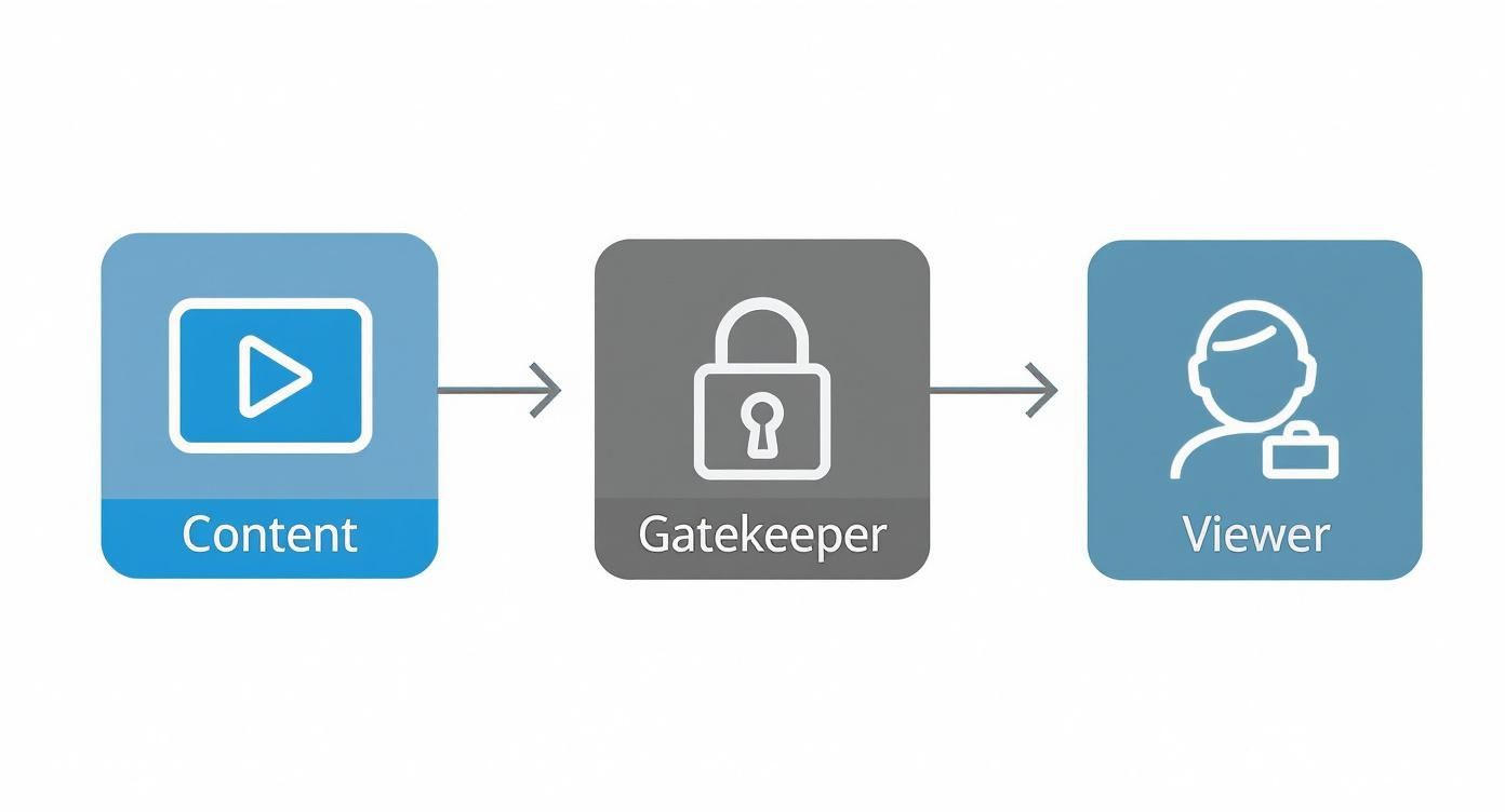 Infographic about drm for video
