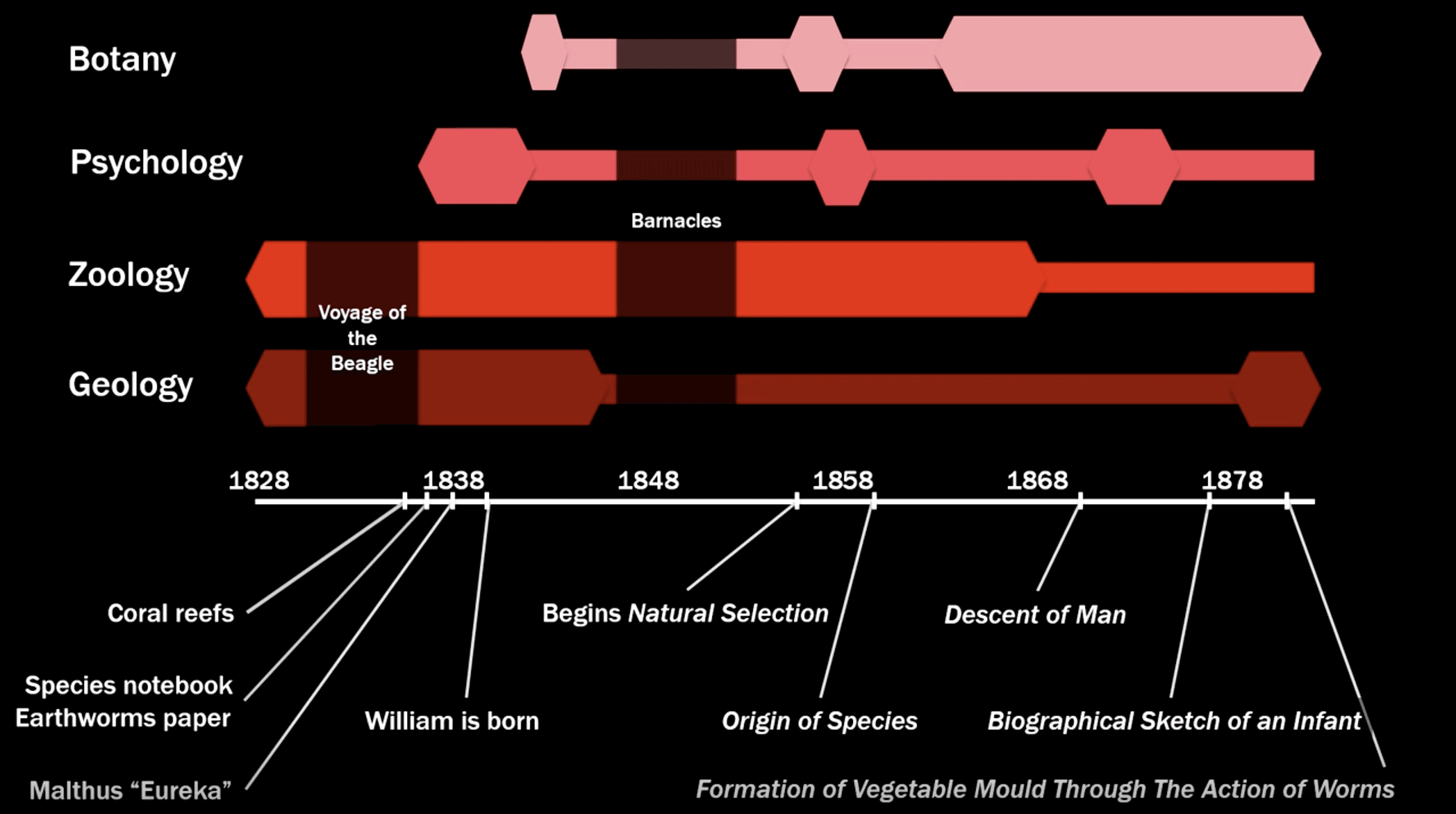 科学研究时间线图