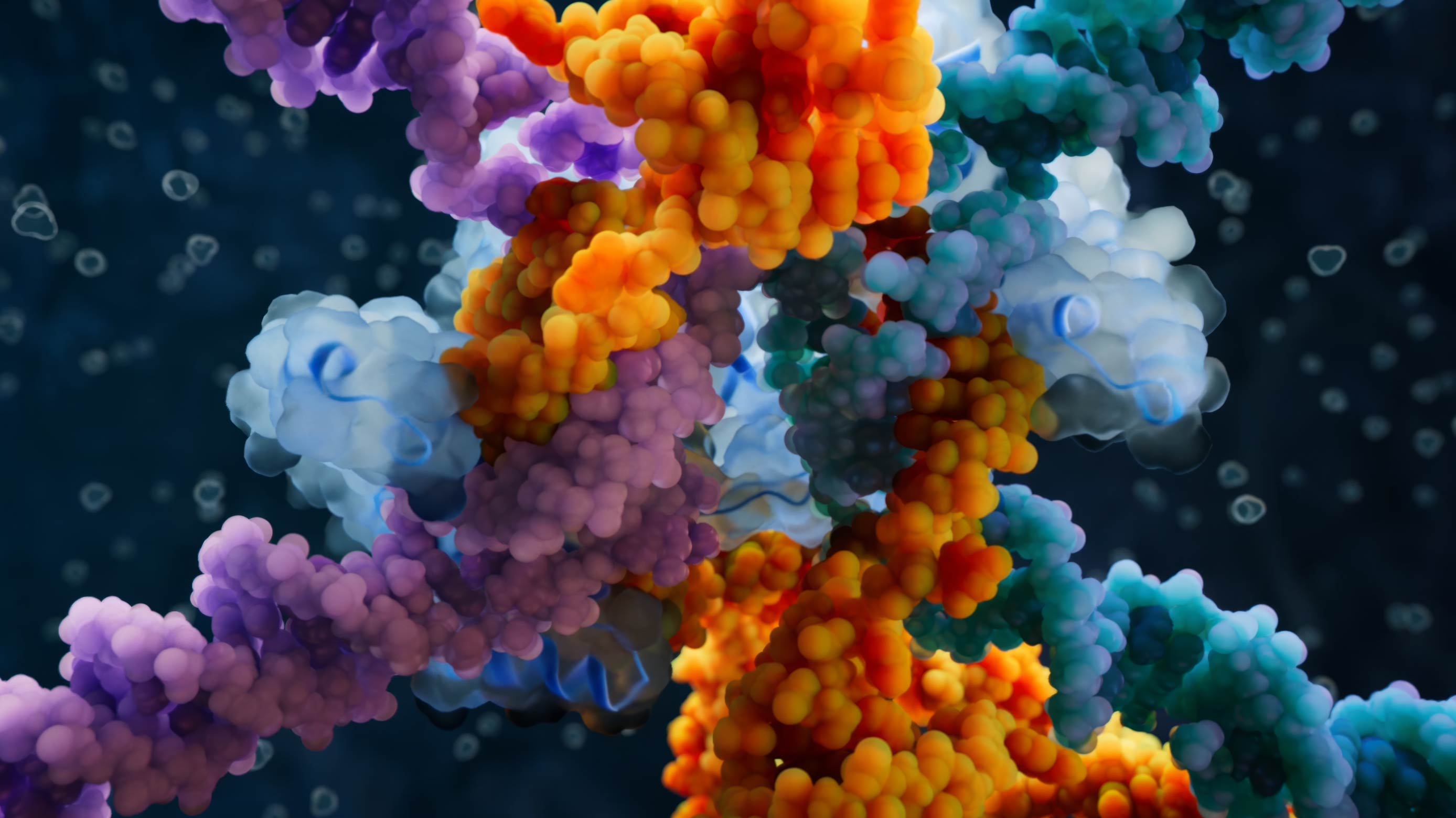 Bridge RNAs in complex with target DNAs and transposases