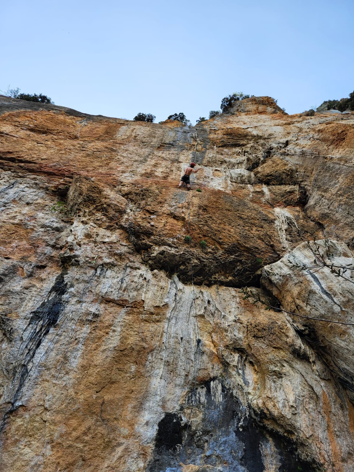 People in the office