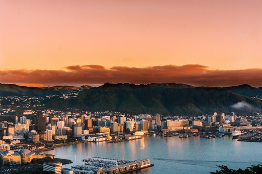 image of wellington skyline with water