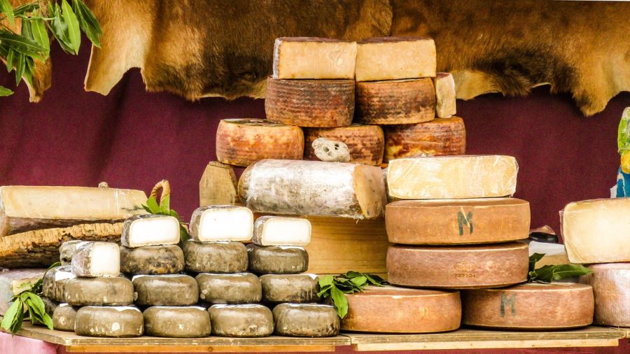 Varietà di formaggi stagionati
