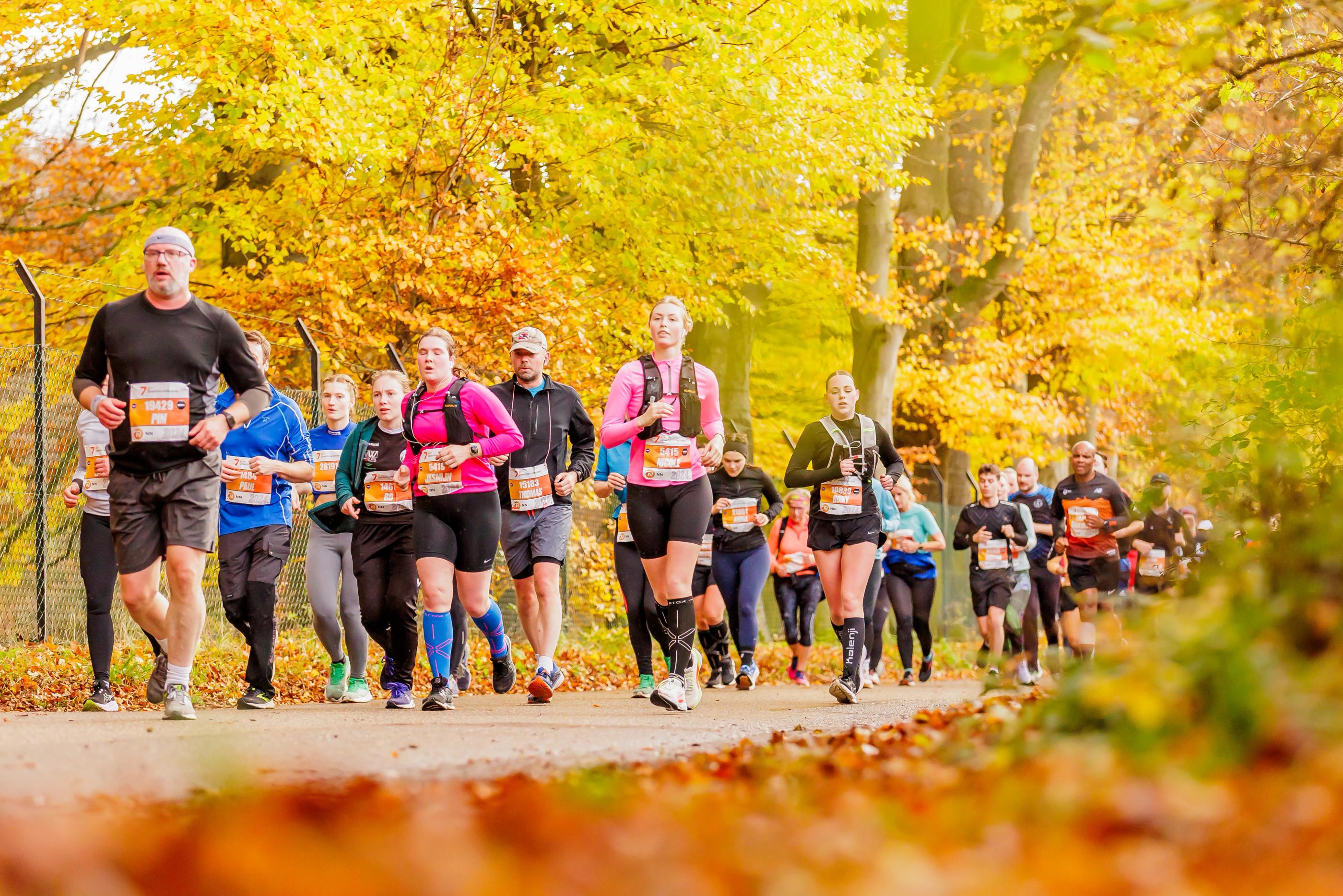 Dam tot Damloop