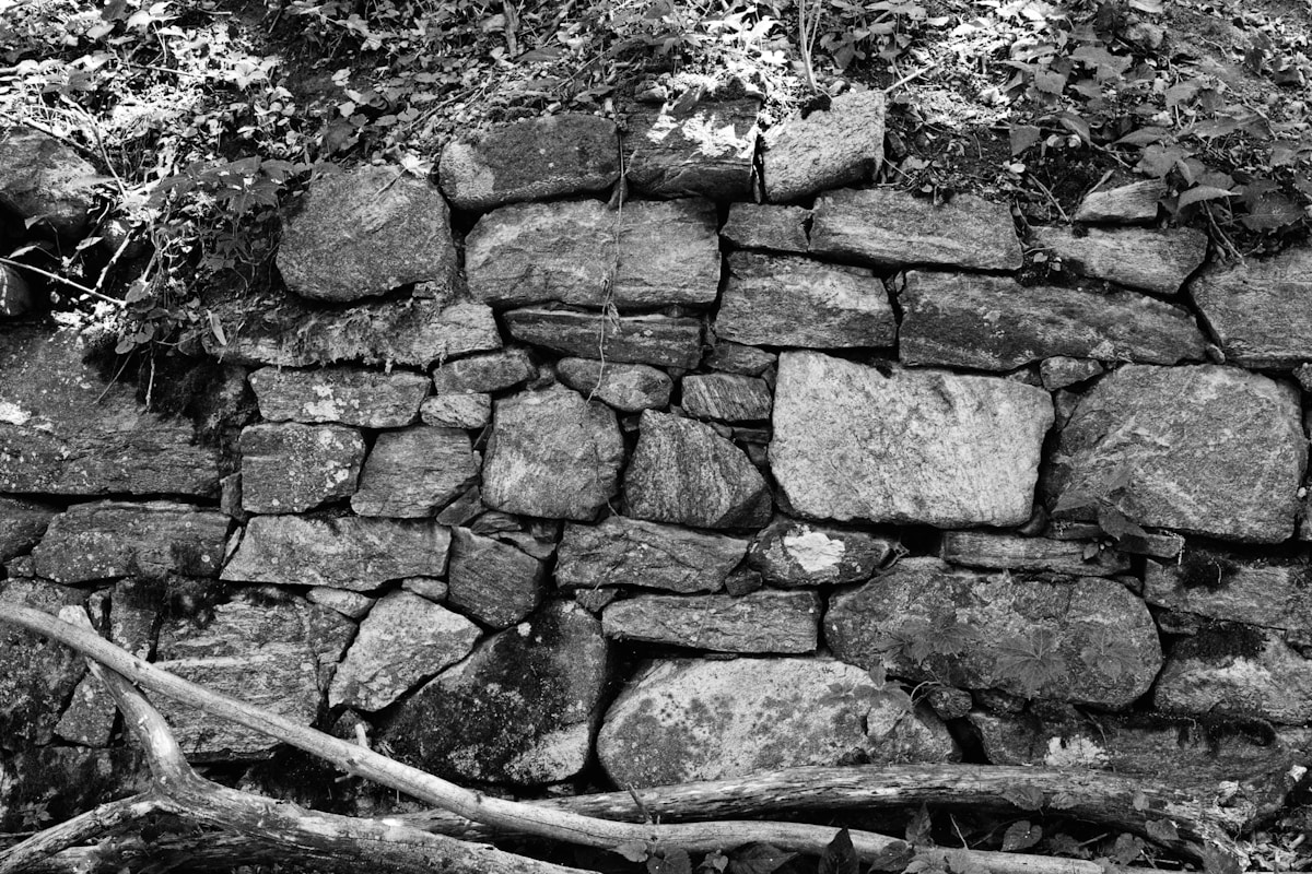An old stone wall with vegetation and fallen branches