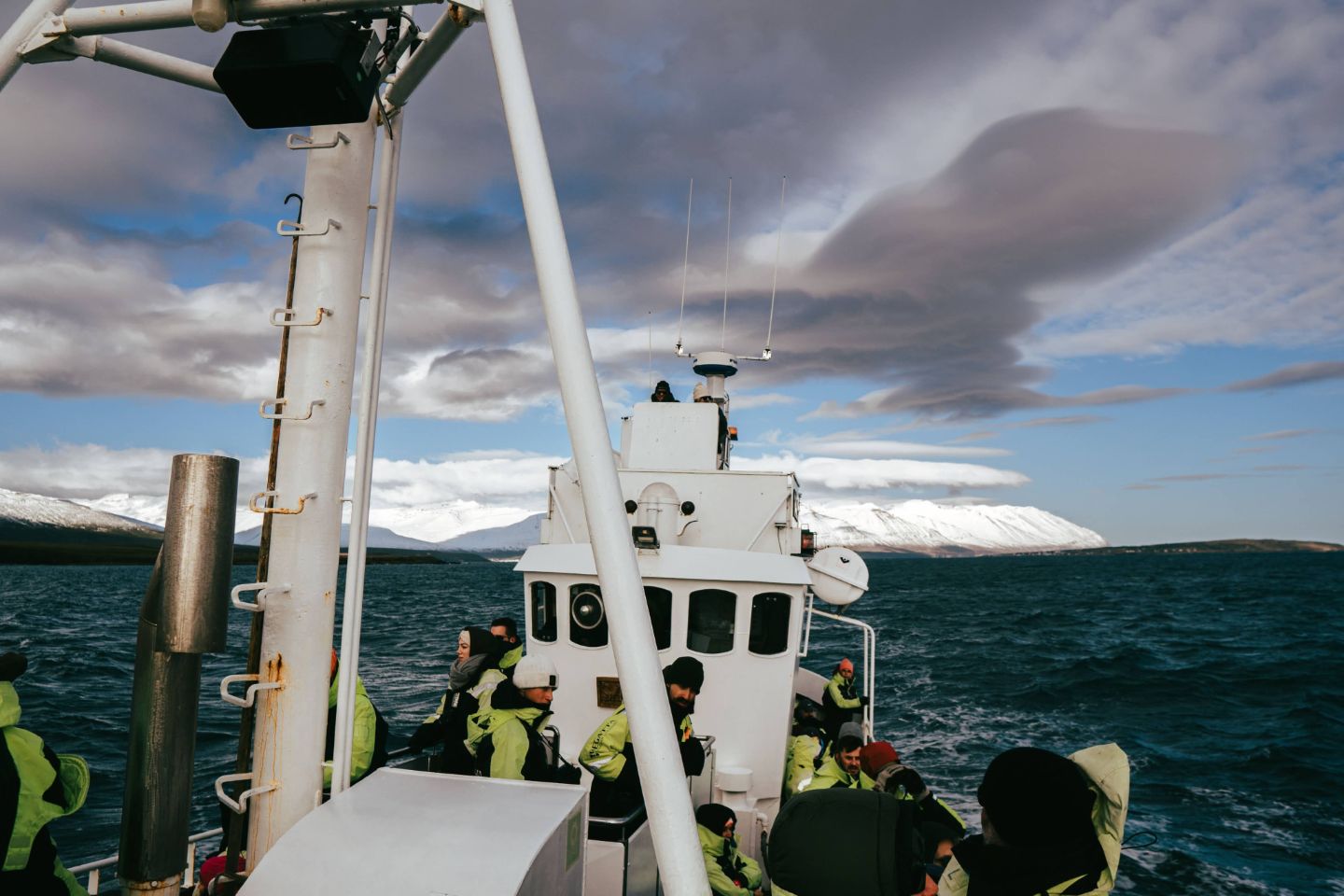 Whale tail surfacing in Faxaflói Bay with the Reykjavík skyline in the background during a whale watching tour.