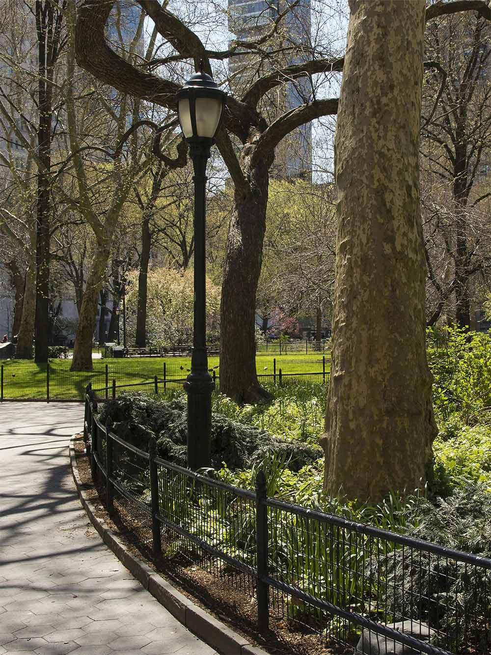 A park with a walking path, green grass, and trees in an affordable, middle class neighborhood in NYC