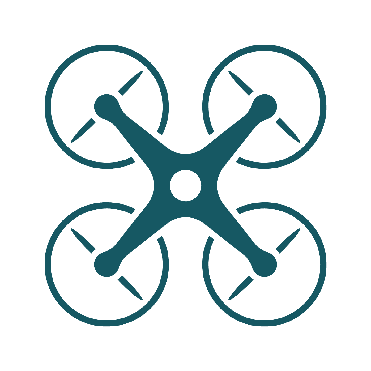 Logo Icon