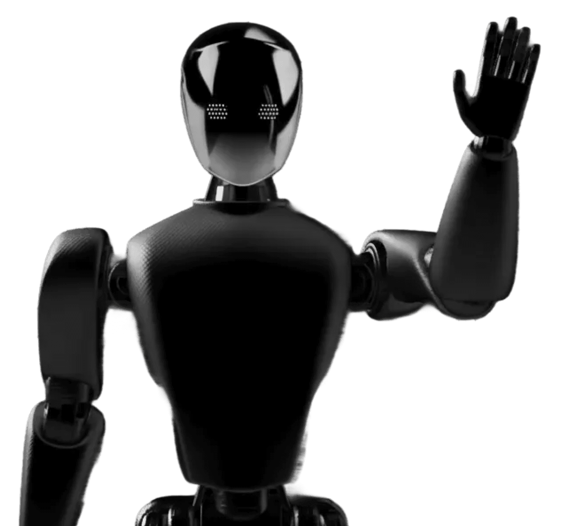 Robo home robot ready for order