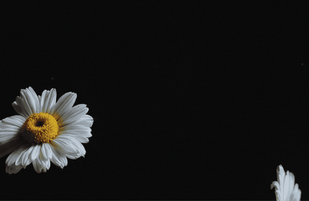 Rahalised otsused on lihtsamad, kui tead, et oled heades kätes.