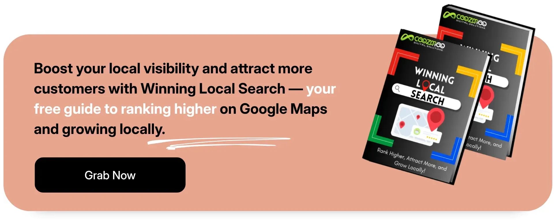 A call-to-action for Coozmoo's Winning Local Search Ebook