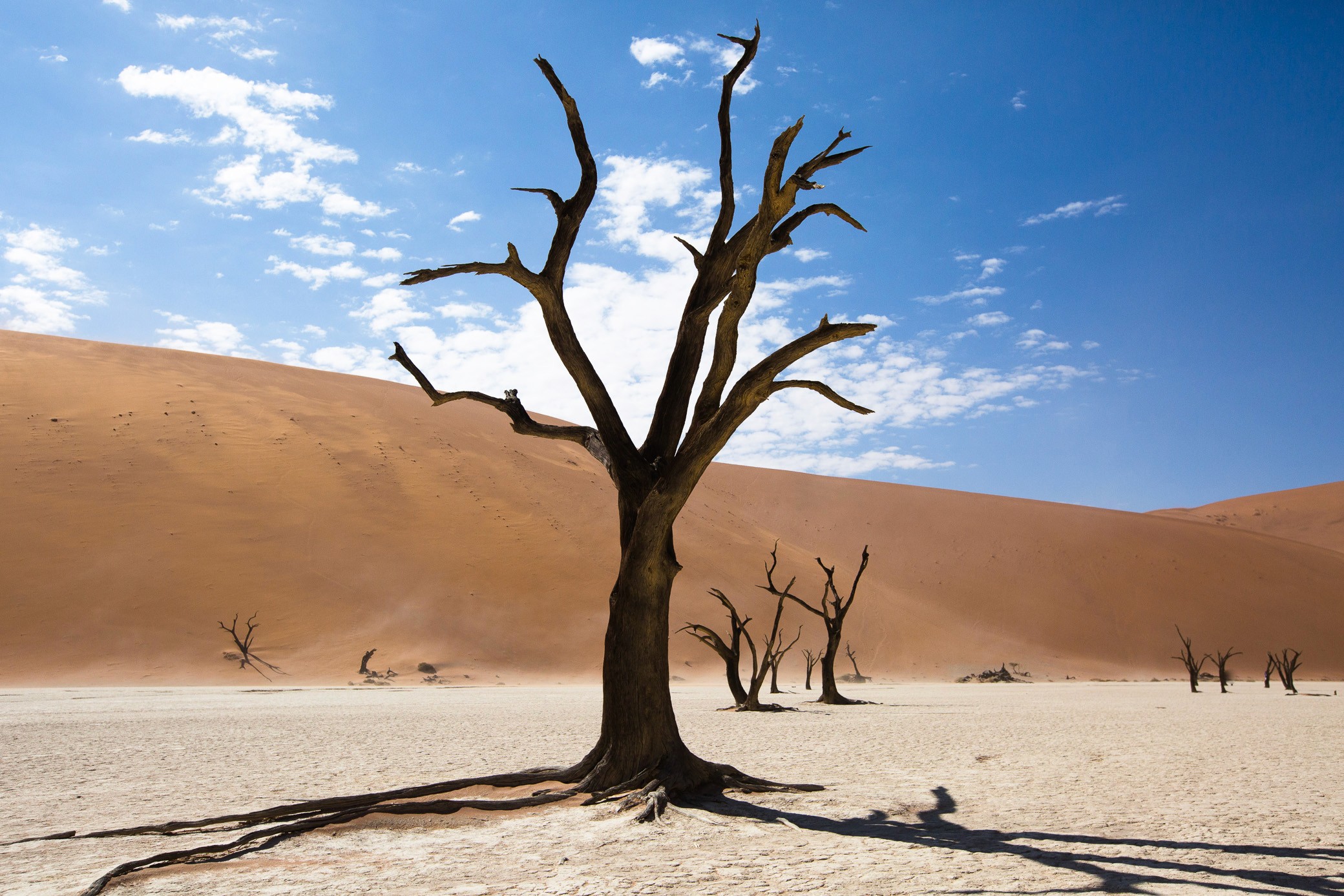 Overland & Photography Tour Overview