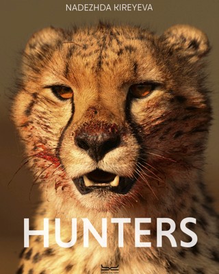 Image of Poster in the basket