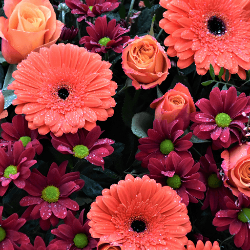 FLORA employer fertility benefits and reproductive health coverage visual