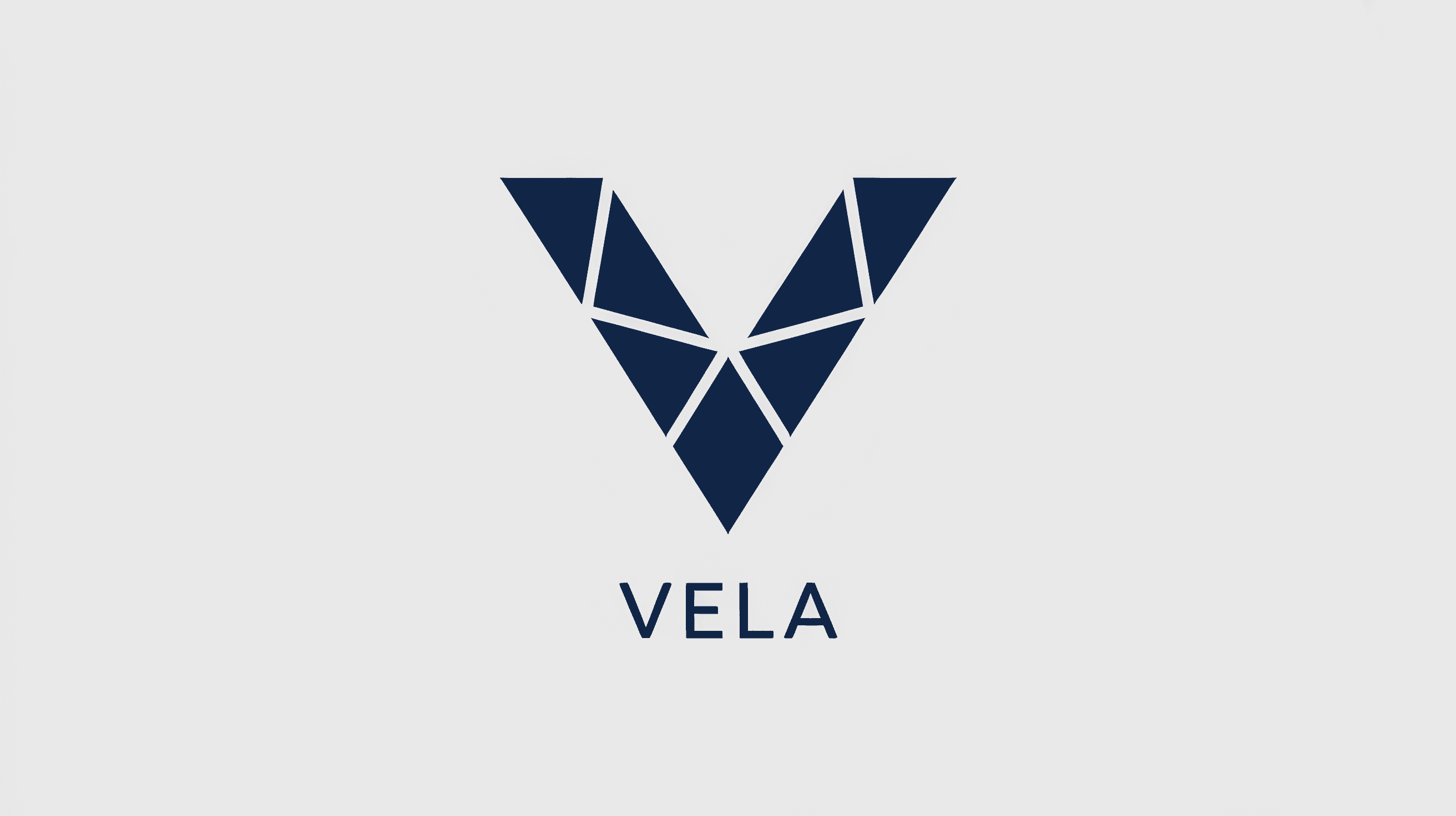 AI-generated Vela logo concept V2 exploration showing twelve geometric V mark directions, created with Ideogram by Huw Mathias