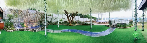 Wishing Tree — real celebration at Lazuri Tagaytay