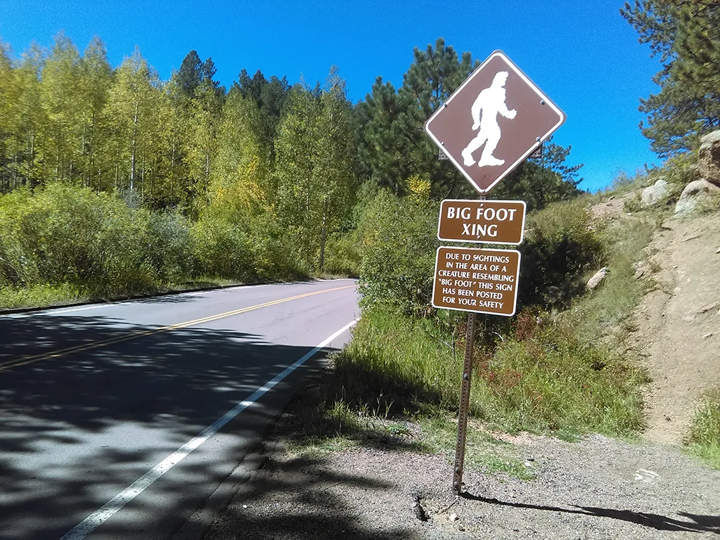 Big foot crossing