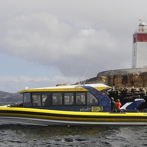 Жълта и черна лодка на име „Минке“ във водата близо до скалист бряг с бял фар на заден план.
