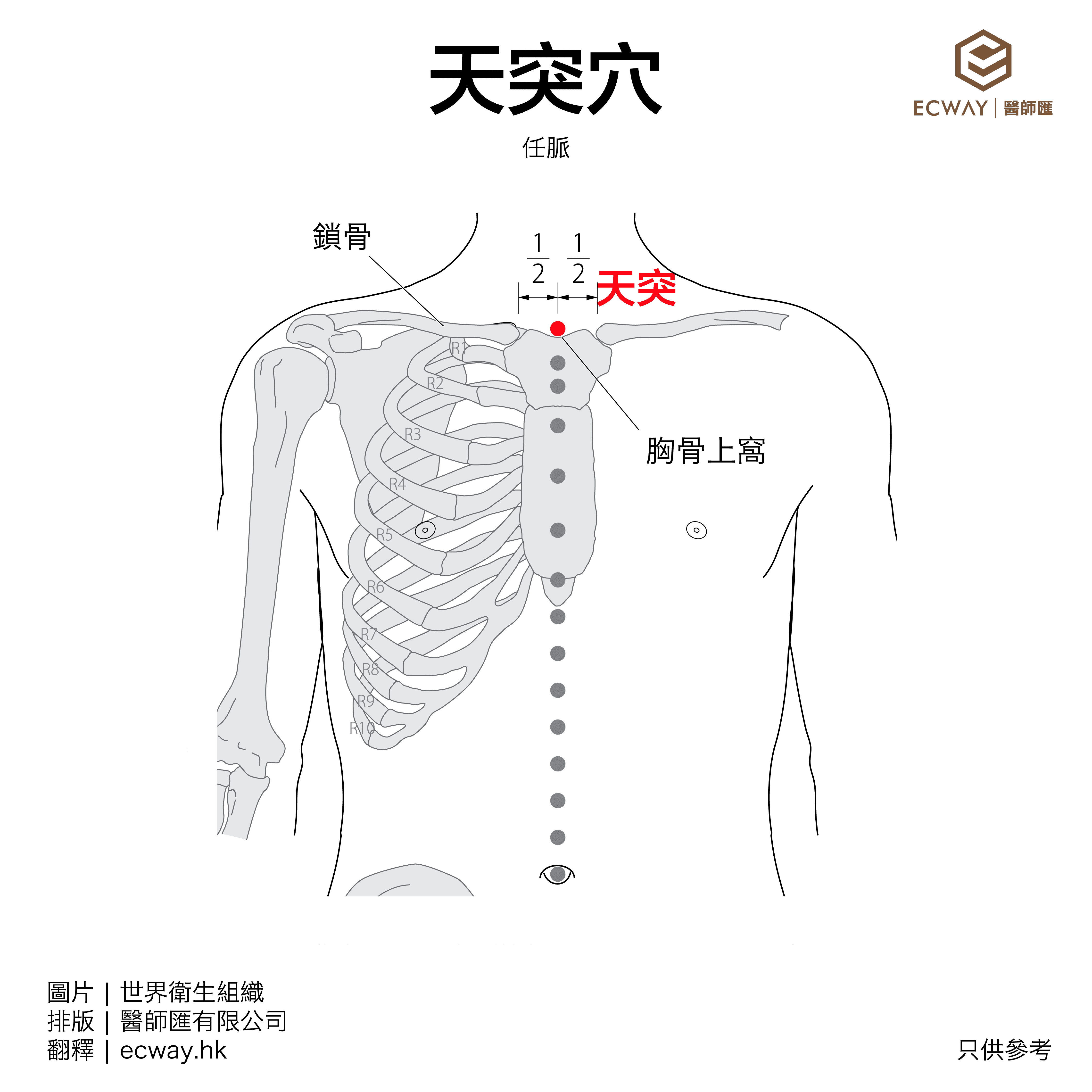天突穴