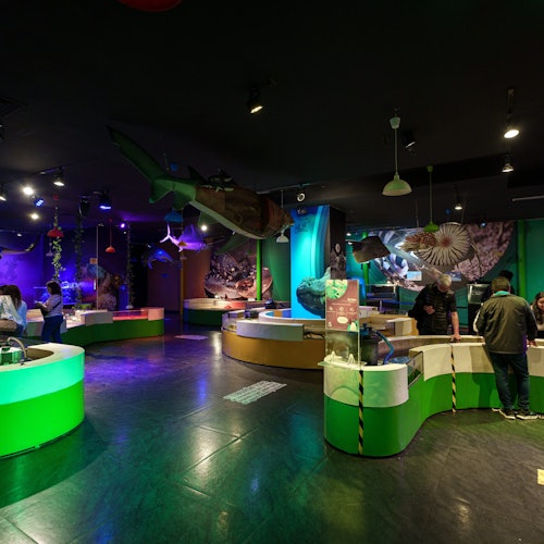 墨西哥城 Inbursa 水族館票