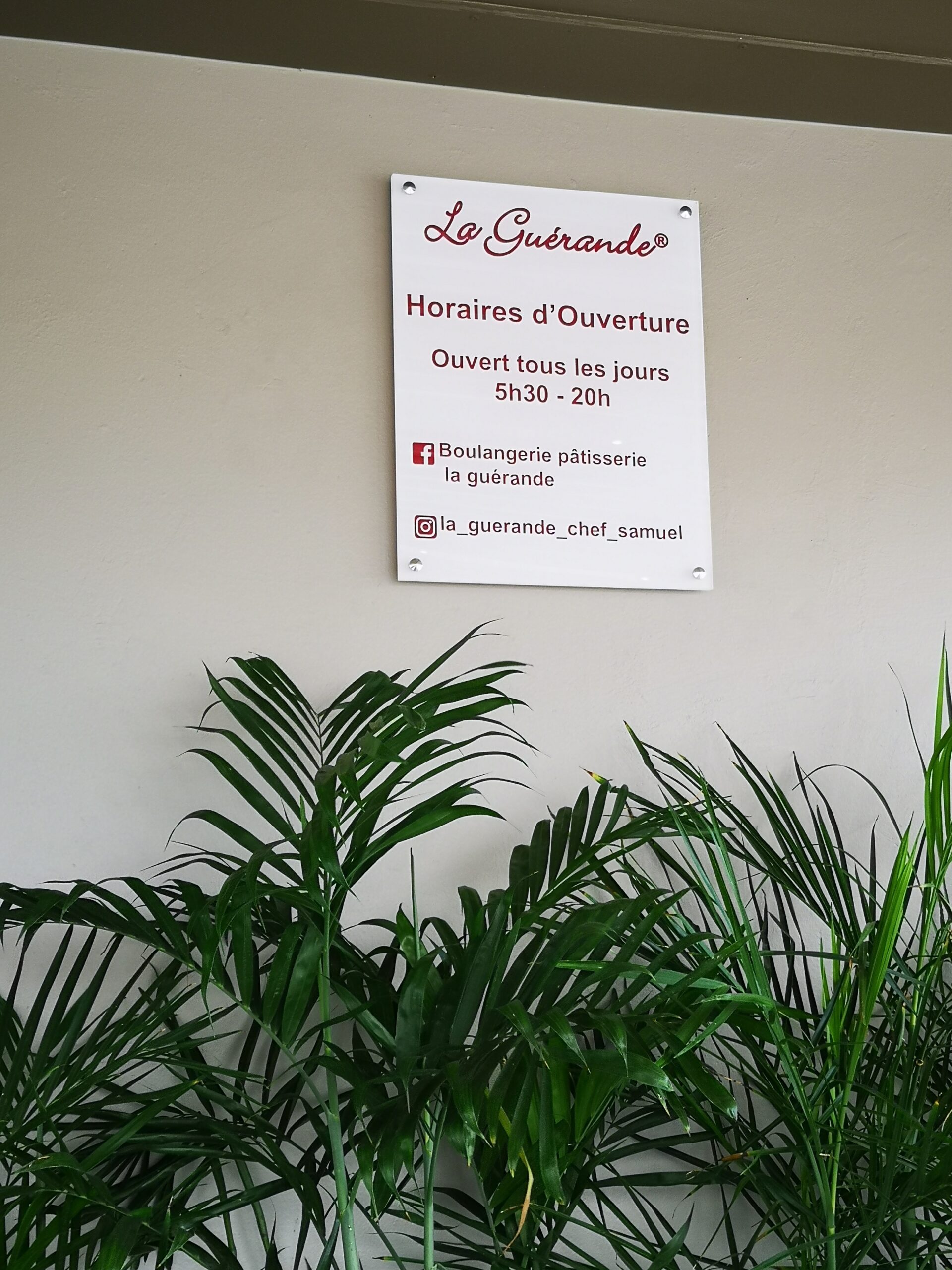 Une pancarte accrochée au mur indique « La Guérande, Horaires d'Ouverture, Ouvert tous les jours 5h30 - 20h », au-dessus de plantes vertes luxuriantes, créant une ambiance fraîche et accueillante.
