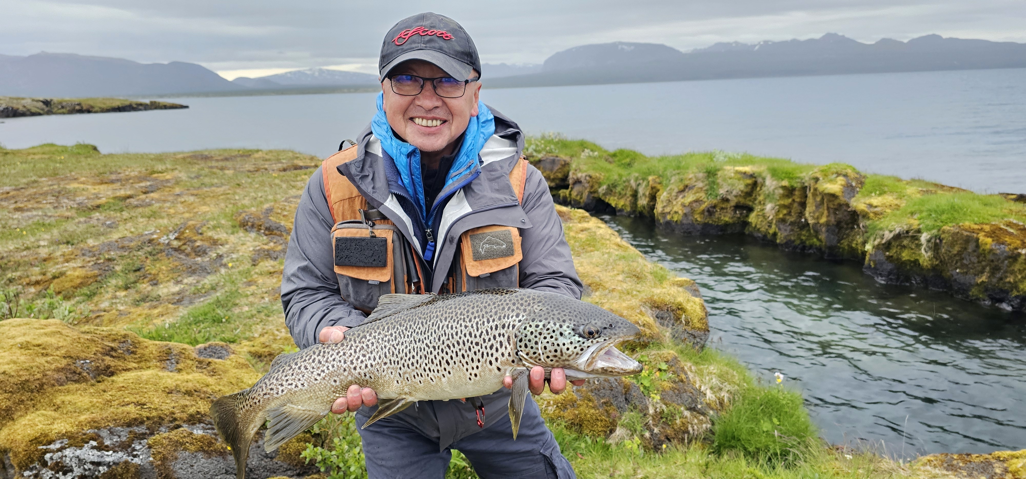 Island, Brown Trout, Arctic char, fjeldørred
