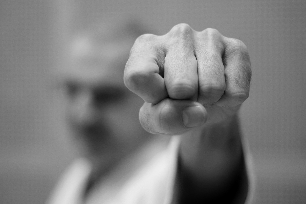 karate,-fist,-battle,-martial-arts,-self-defense,-mma,-sports,-monochrome,-karat - rosanna17 (pixabay)