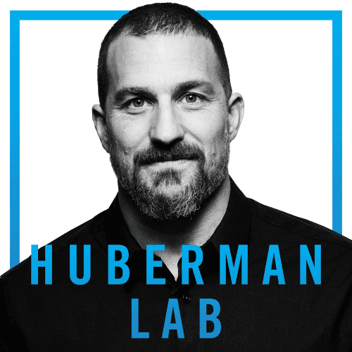 Обложка подкаста Huberman Labs