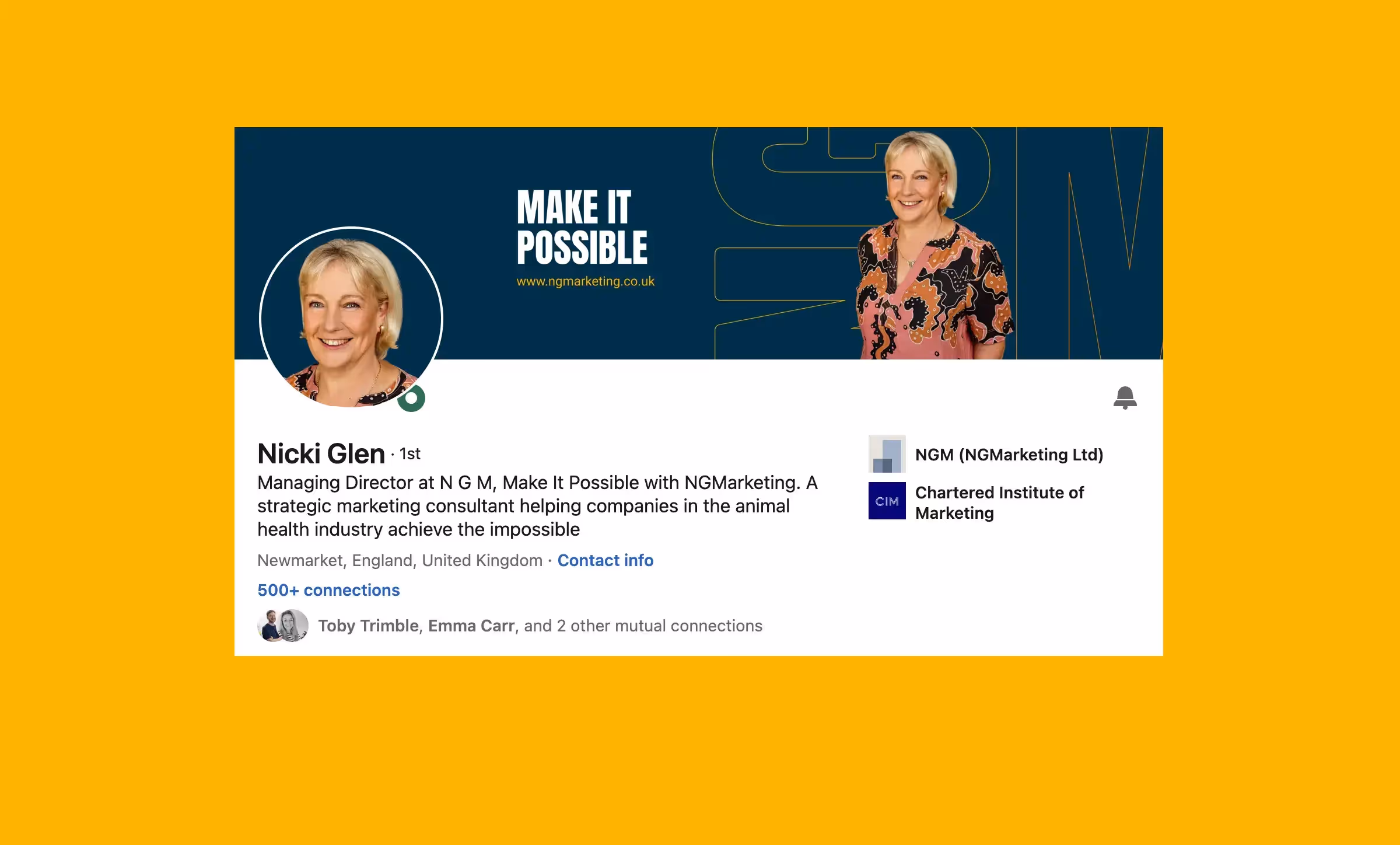NGMarketing promotional message and branded callout from the completed creative project